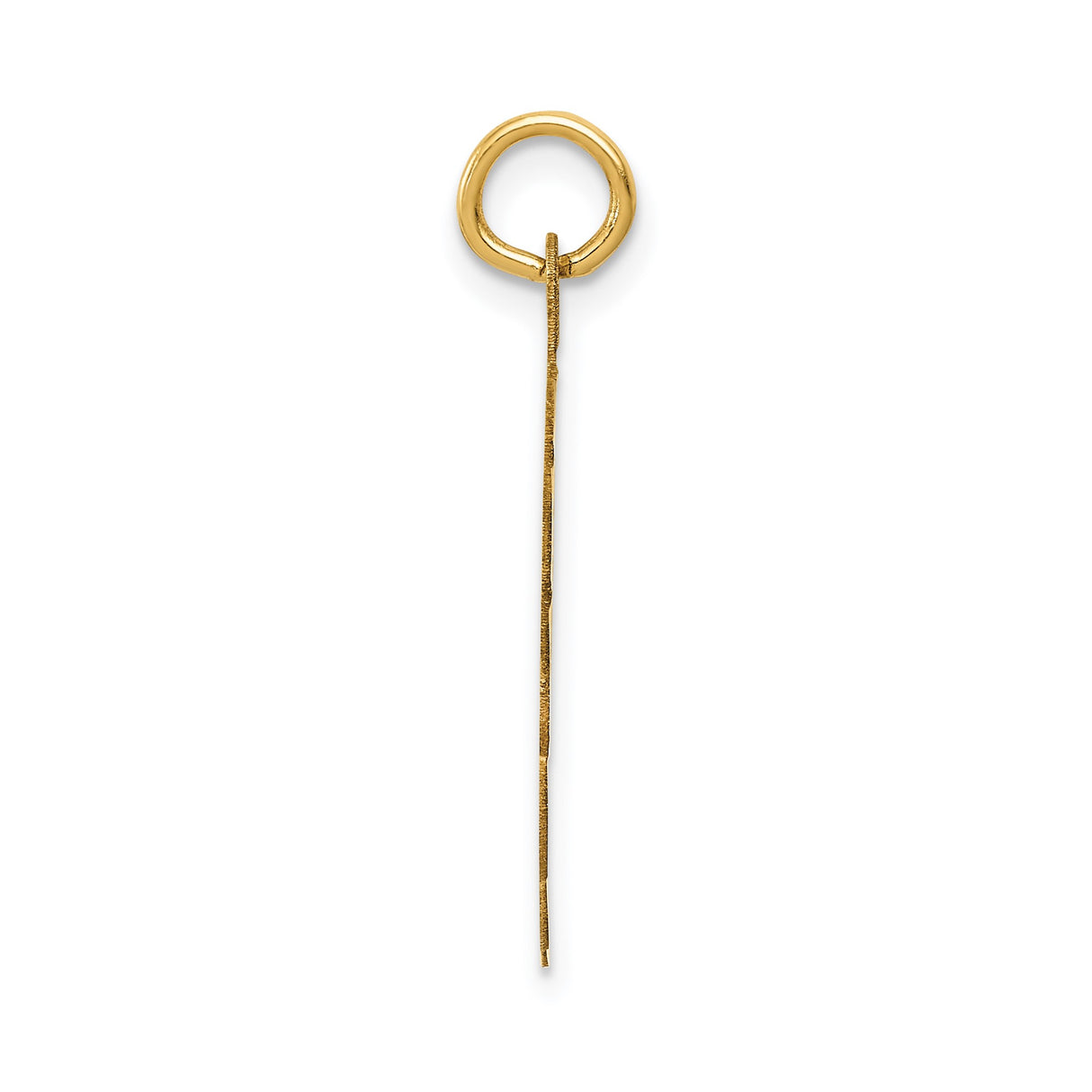 14k Yellow Gold Wrestling Pendant with Athletes in Action, Sports Charm for Men or Women