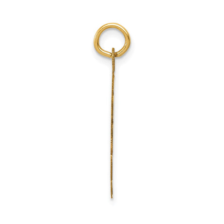 14k Yellow Gold Wrestling Pendant with Athletes in Action, Sports Charm for Men or Women