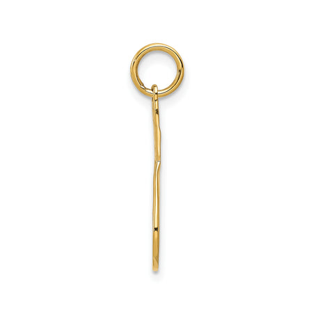 14k Yellow Gold Tennis Racket Pendant Charm, Openwork Sports Jewelry for Men and Women