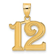 Polished Etched Number 12 Charm Pendant in Real 14k Yellow Gold