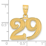 Polished Etched Number 29 Charm Pendant in Real 14k Yellow Gold