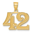 Polished Etched Number 42 Charm Pendant in Real 14k Yellow Gold