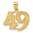 Polished Etched Number 49 Charm Pendant in Real 14k Yellow Gold