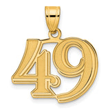 Polished Etched Number 49 Charm Pendant in Real 14k Yellow Gold
