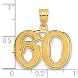 14k Yellow Gold 60 Pendant, Polished Textured Milestone Number Charm for Women or Unisex