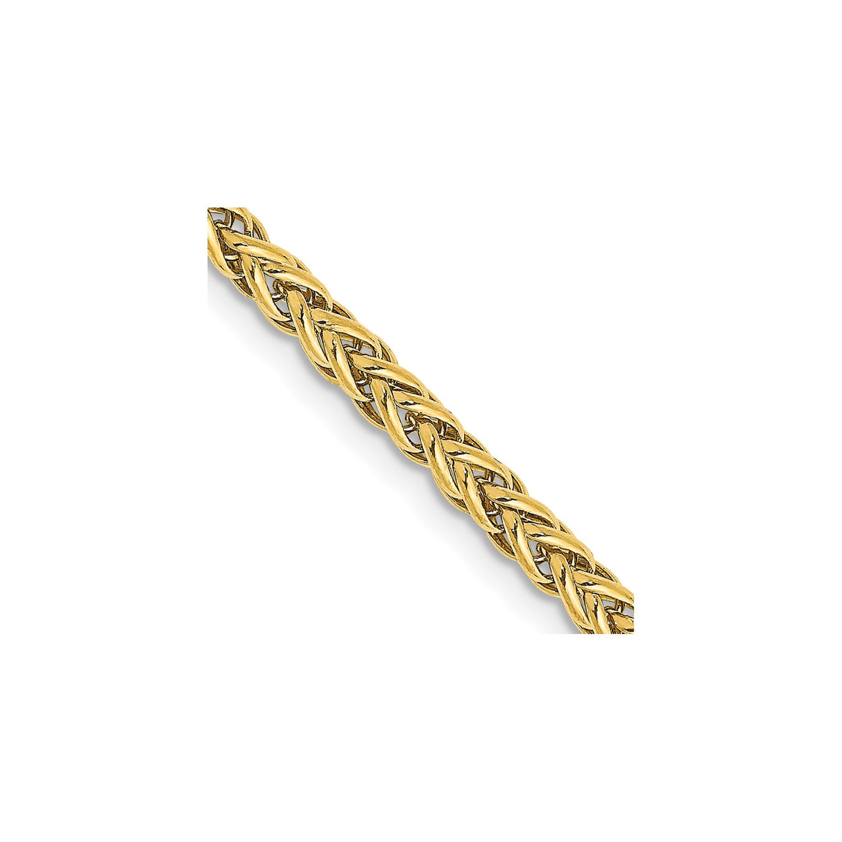 14K Yellow Gold 2.6 mm Polished Chain Necklace detail view