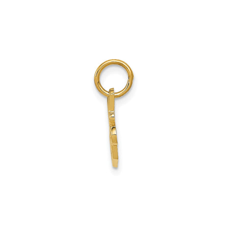 14k Yellow Gold Sister Pendant with Script Engraving, Sentimental Family Keepsake Charm for Women