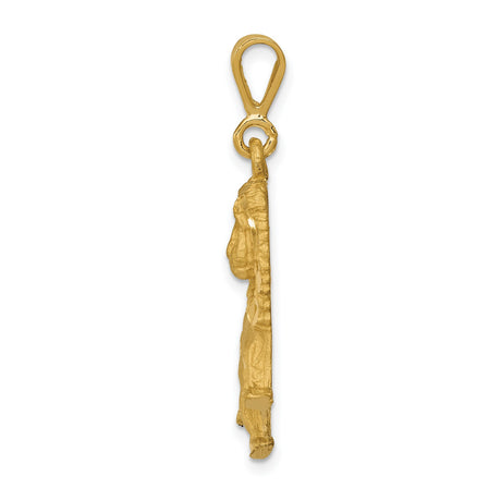 Male Lion With Mane Charm Pendant in Real 14k Yellow Gold