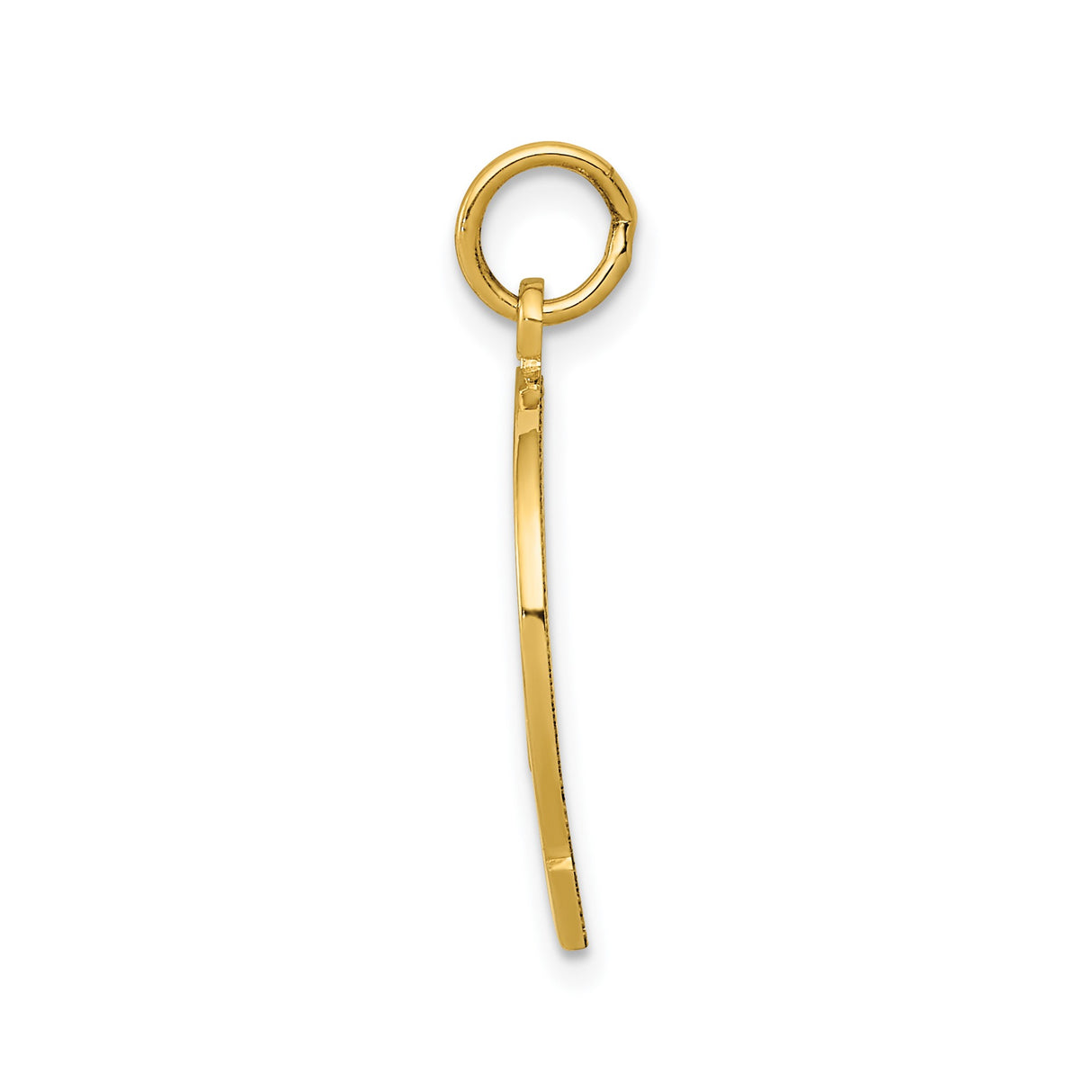 14k Yellow Gold Horseshoe Pendant with Good Luck Text, Unisex Equestrian Charm