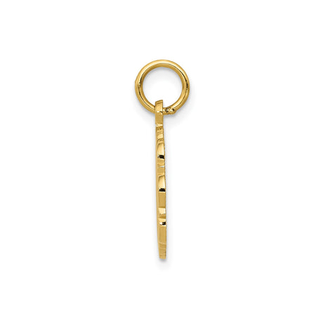 14k Yellow Gold RN Pendant with Caduceus Symbol, Solid Medical Charm for Nurses