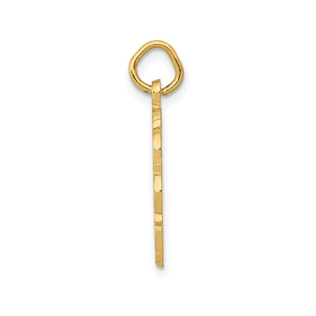 14k Yellow Gold RN Pendant with Caduceus Symbol, Nursing and Medical Jewelry for Women