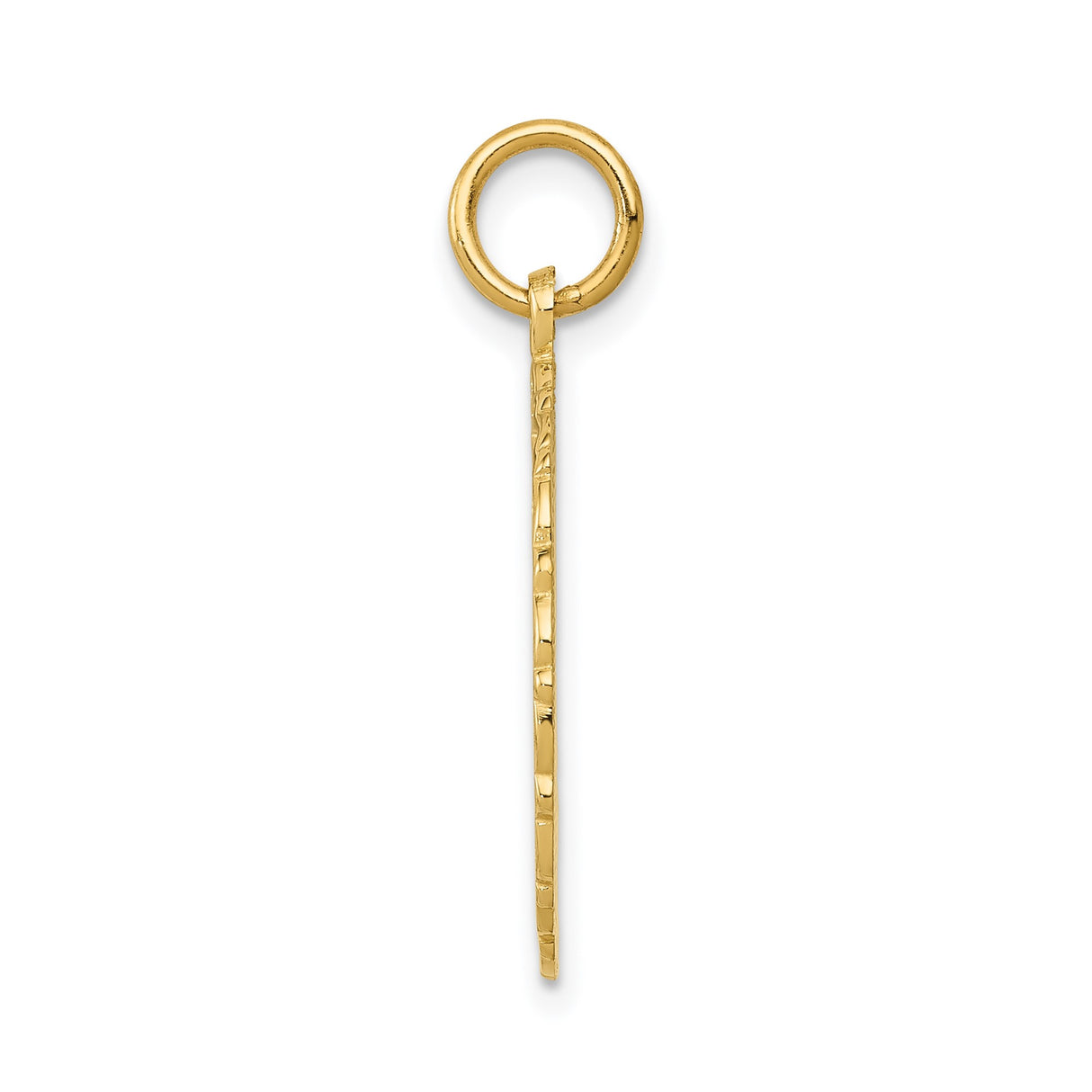 14k Yellow Gold RN Pendant with Caduceus Symbol, Nursing Career Jewelry for Women