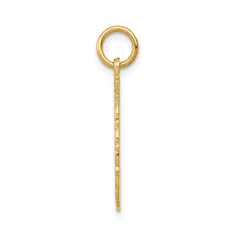 14k Yellow Gold RN Pendant with Caduceus Symbol, Nursing Career Jewelry for Women