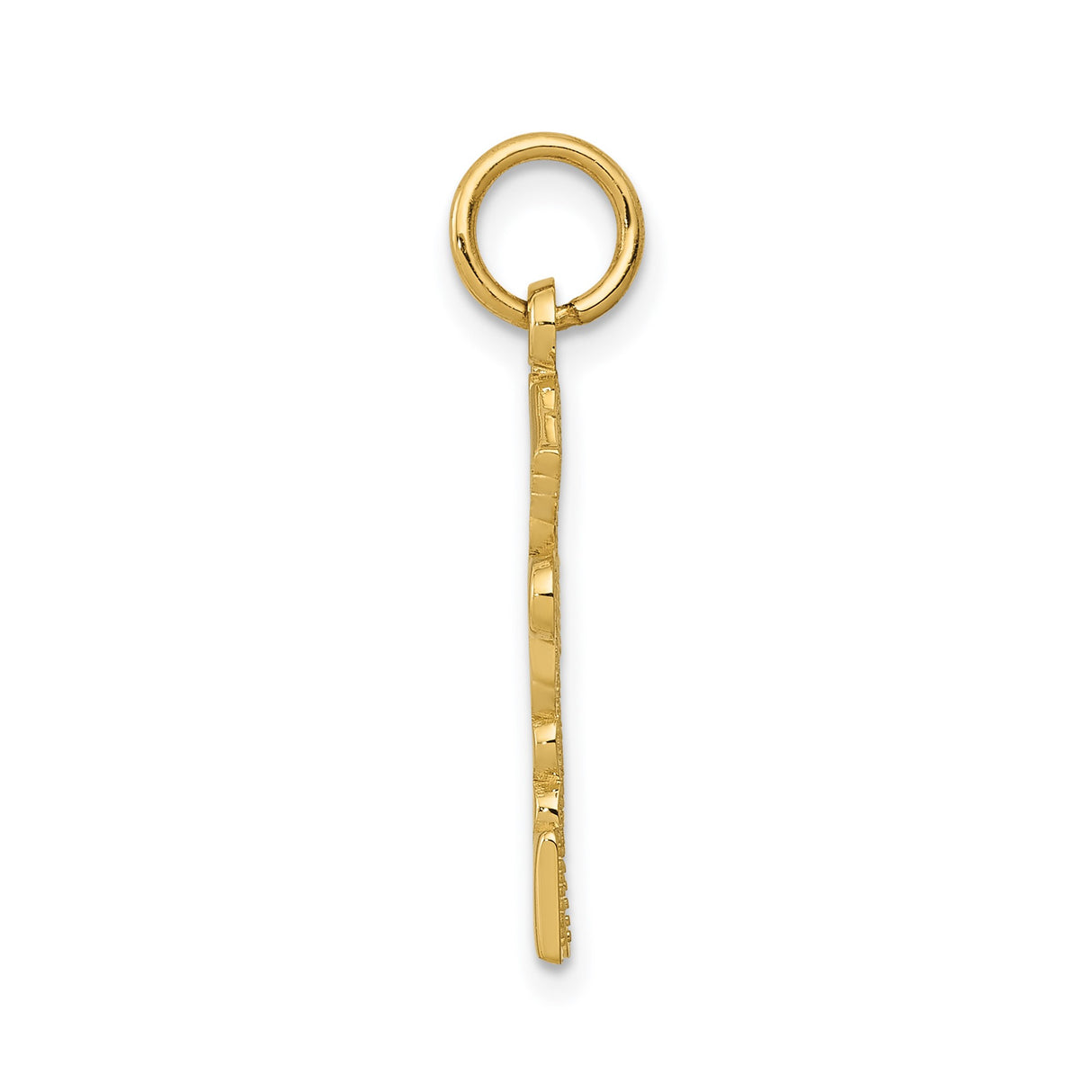 14k Yellow Gold RPN Nurse Pendant with Caduceus Symbol, Registered Practical Nurse Charm