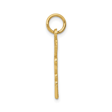14k Yellow Gold RPN Nurse Pendant with Caduceus Symbol, Registered Practical Nurse Charm