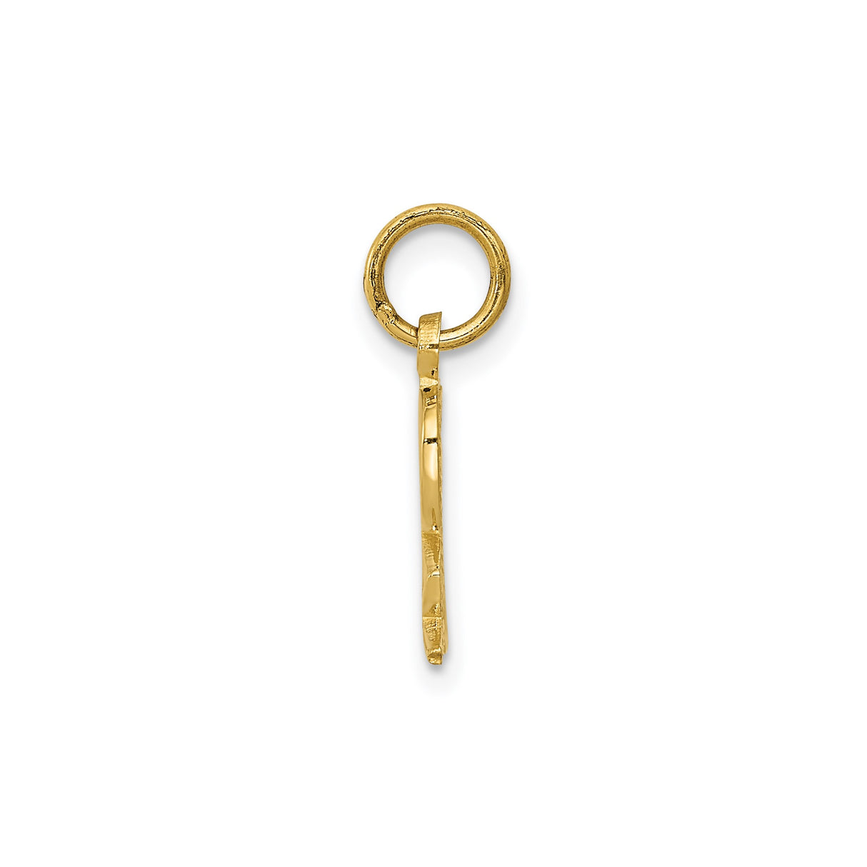 14k Yellow Gold Rx Pendant Charm, Polished Pharmacy Symbol Jewelry for Healthcare Workers