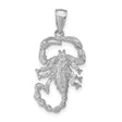 14k White Gold Scorpion Pendant, Textured Scorpio Zodiac Talisman for Men or Unisex