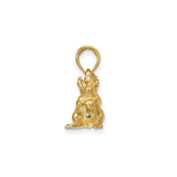 14k Yellow Gold Squirrel Pendant Charm with Nut, Detailed 3D Animal Design
