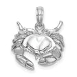 14k White Gold Crab Pendant, Cancer Zodiac Symbol, Marine Life Nautical Charm for Women or Unisex Wear