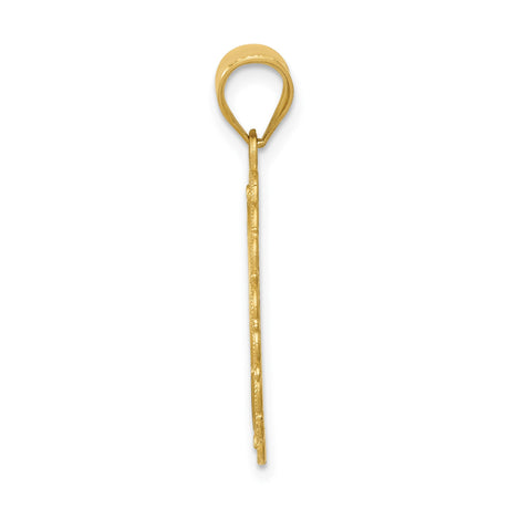14k Yellow Gold Leo Zodiac Pendant with Filigree Border and Lion Symbol Charm