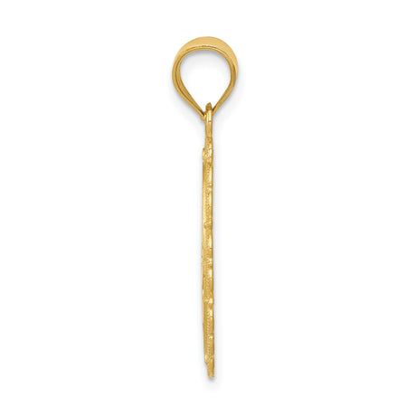 14k Yellow Gold Pisces Zodiac Pendant with Ornate Border and Two Fish Design