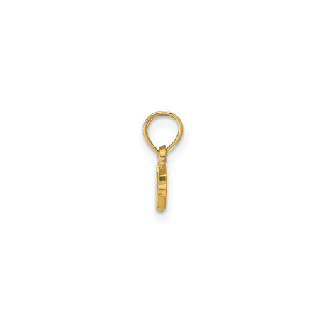 14k Yellow Gold Nurse Pendant, Script Lettering Medical Charm Jewelry for Women