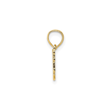 14k Yellow Gold Pendant, Someone Special Sentimental Message Charm for Women