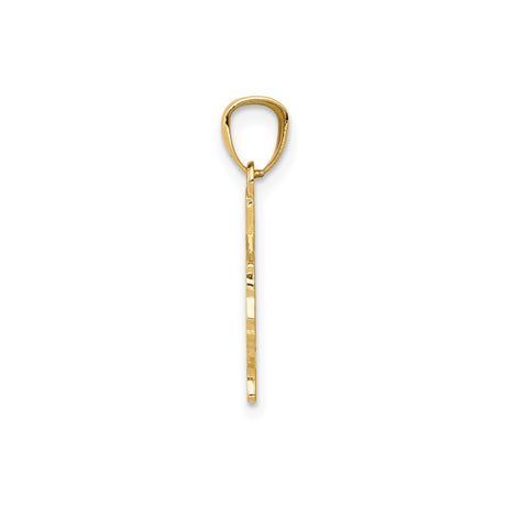 14k Yellow Gold Texas State Pendant with Textured Background and Bold TEXAS Engraving