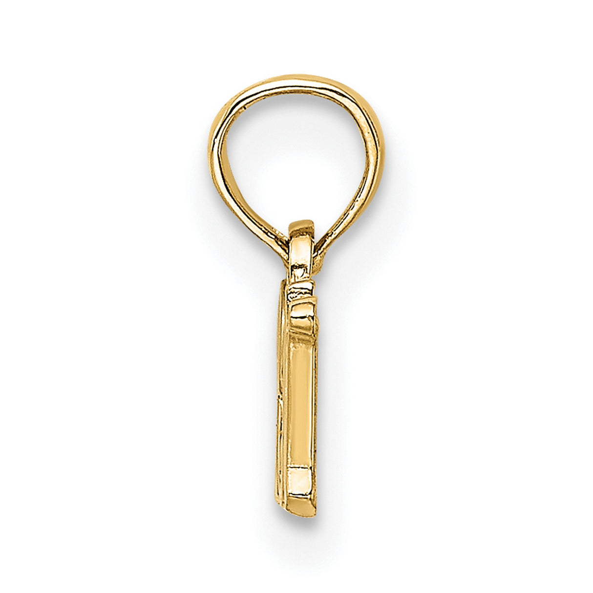 14k Yellow Gold RN Pendant Charm, Script Letters Symbolizing Registered Nurse Pride