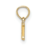 14k Yellow Gold RN Pendant Charm, Script Letters Symbolizing Registered Nurse Pride