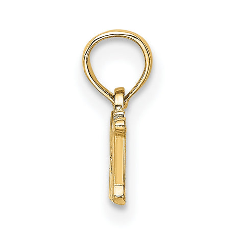 14k Yellow Gold RN Pendant Charm, Script Letters Symbolizing Registered Nurse Pride