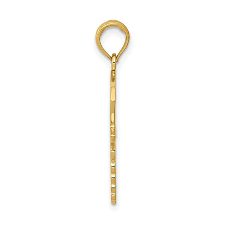 14k Yellow Gold Nurse Pendant with Caduceus Symbol and Cap Cross