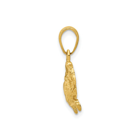 14k Yellow Gold Crab Pendant, Nautical Astrology Cancer Sign Charm for Women or Unisex Wear