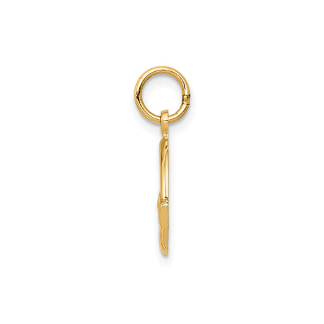 14k Yellow Gold Claddagh Pendant with Crowned Heart and Hands, Irish Heritage Jewelry
