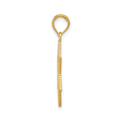 14k Yellow Gold Star of David Pendant, Textured Jewish Faith Charm for Women or Unisex