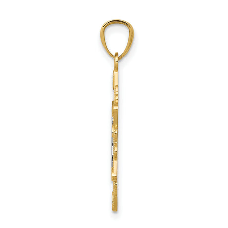 14k Multi-Tone Gold Star of David Pendant with Chai Symbol, Rhodium Accented, Jewish Charm
