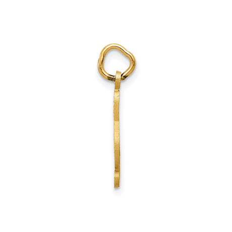 14k Yellow Gold Treble Clef Pendant Charm, Polished Satin Musical Note Jewelry