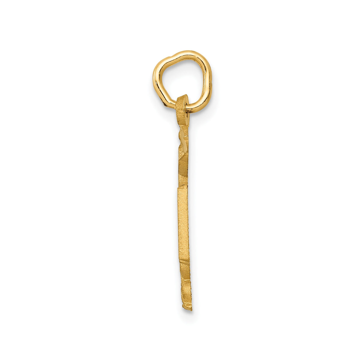 14k Yellow Gold RN Pendant with Caduceus Medical Symbol, Nurse Charm for Women