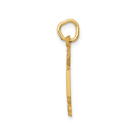 14k Yellow Gold RN Pendant with Caduceus Medical Symbol, Nurse Charm for Women
