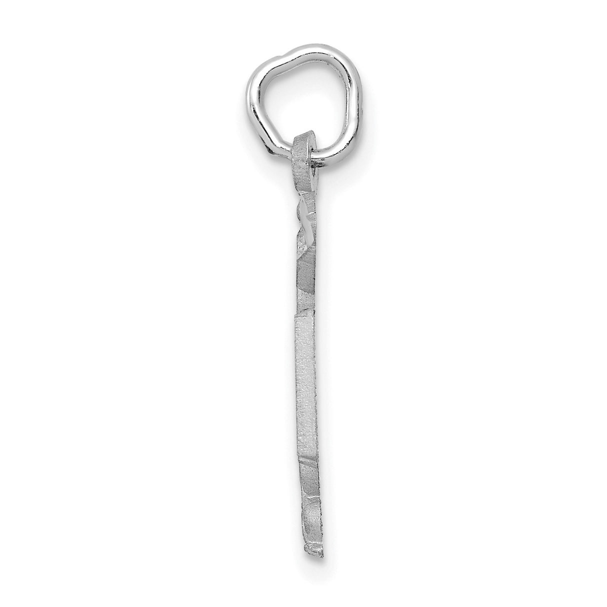14k White Gold RN Caduceus Pendant with Medical Symbol, Nursing Graduation Charm