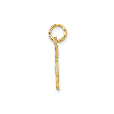 14k Yellow Gold RN Pendant with Caduceus Winged Serpent Symbol, Registered Nurse Charm