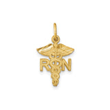 14k Yellow Gold RN Pendant with Caduceus Winged Serpent Symbol, Registered Nurse Charm