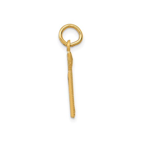 14k Yellow Gold RN Pendant with Caduceus Symbol, Registered Nurse Medical Charm