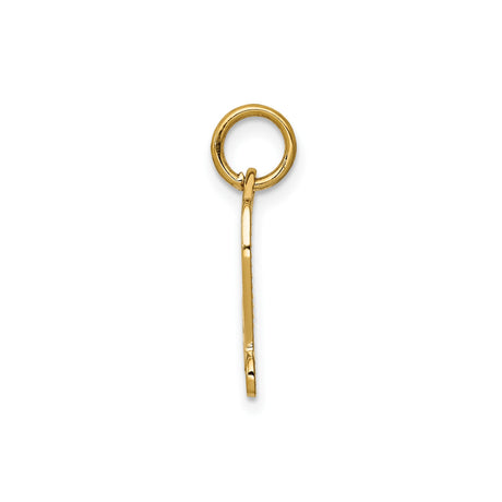 14k Yellow Gold Diploma Scroll Pendant, Graduation Keepsake Charm for Women or Unisex