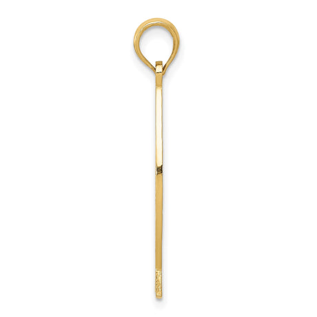 14k Yellow Gold Ichthys Fish Pendant with Jesus Name, Christian Symbol Charm