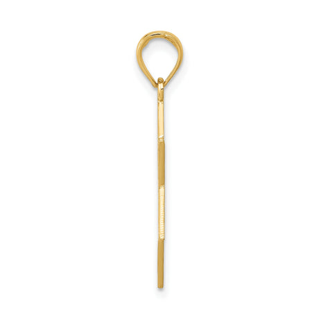 14k Yellow Gold Star of David Pendant with Menorah and Foliage Design