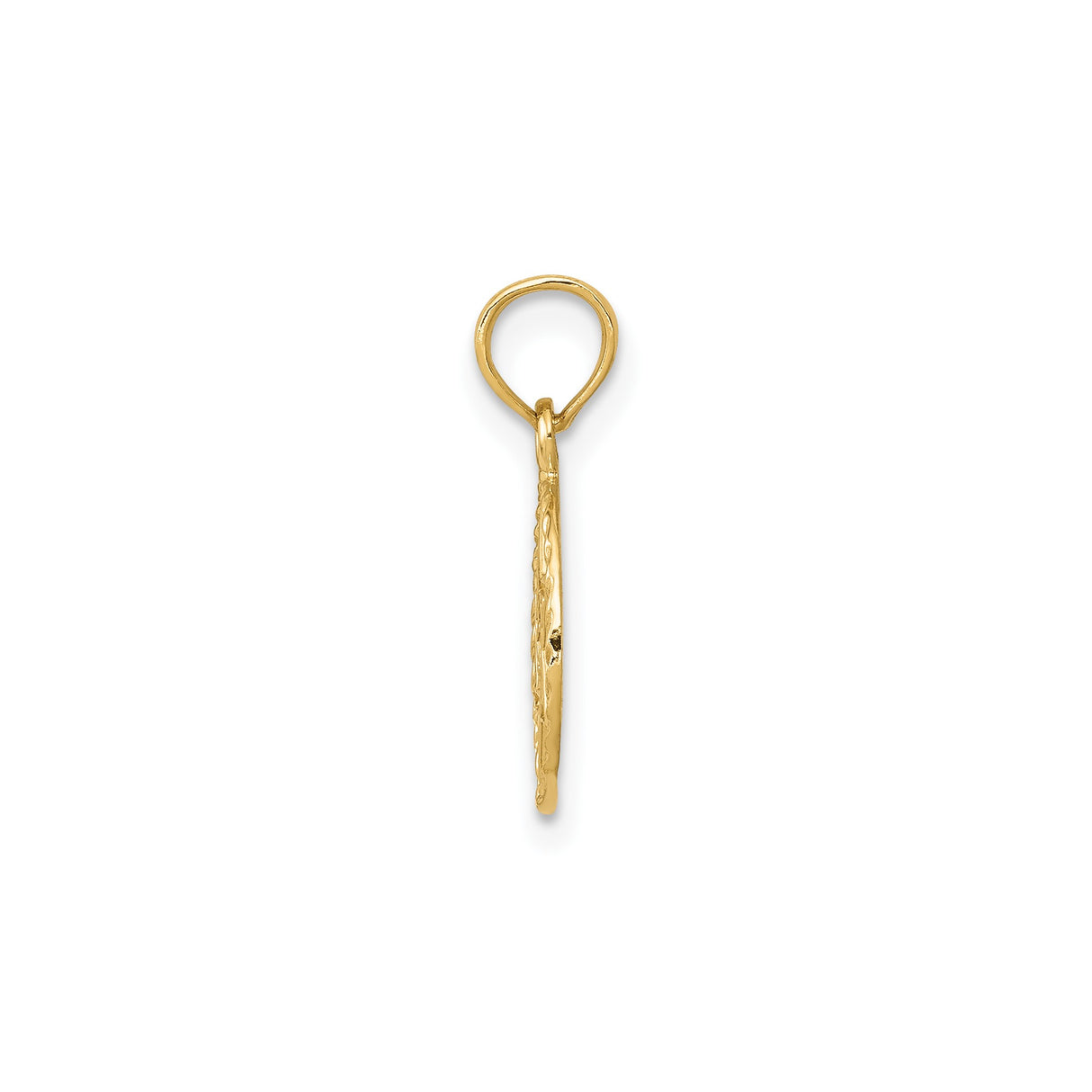 14k Yellow Gold Star of David Pendant with Hebrew Chai Symbol, Jewish Religious Charm