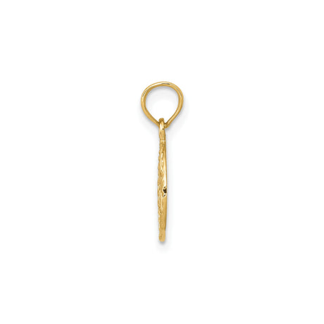 14k Yellow Gold Star of David Pendant with Hebrew Chai Symbol, Jewish Religious Charm
