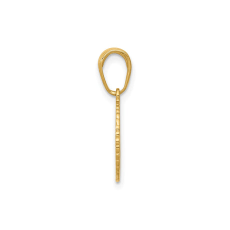 14k Yellow Gold Star of David Pendant with Hebrew Chai Symbol and Rope Detail