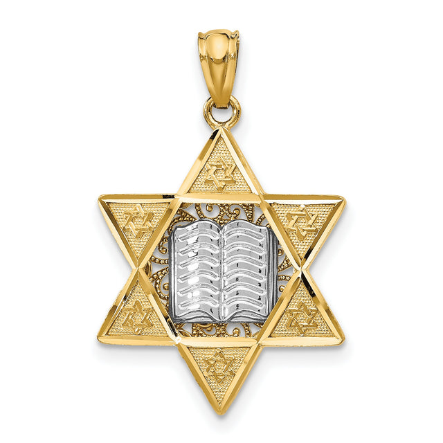 Star Of David With Tablet In Center Charm Pendant in Real 14k Multi-Tone Gold